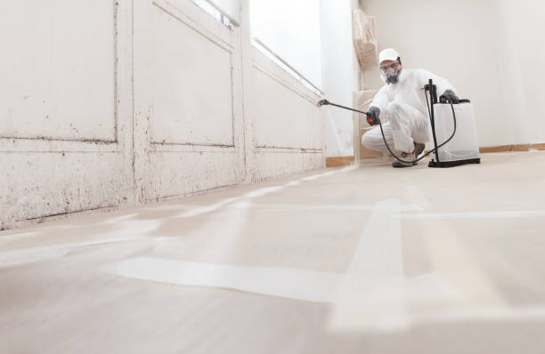 24/7 Emergency Mold Removal experts in Midland, PA